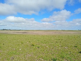 Fazenda