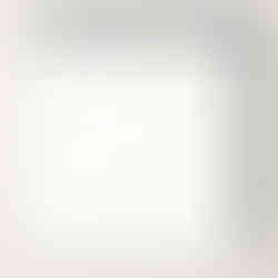 PEACEFUL GARDEN 12" X 12" (30.5 X 30.5 CM) DESIGNER SERIES PAPER