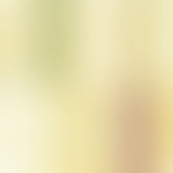 FLORAL DELIGHT 12" X 12" (30.5 X 30.5 CM) DESIGNER SERIES PAPER