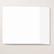 BASIC WHITE 12" X 12" (30.5 X 30.5 CM) THICK CARDSTOCK