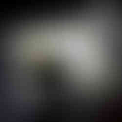 🖤💛🤍 Black, Gold & Gorgeous Christmas Cards – How to Balance & Tame the Bold Pattern Beast!