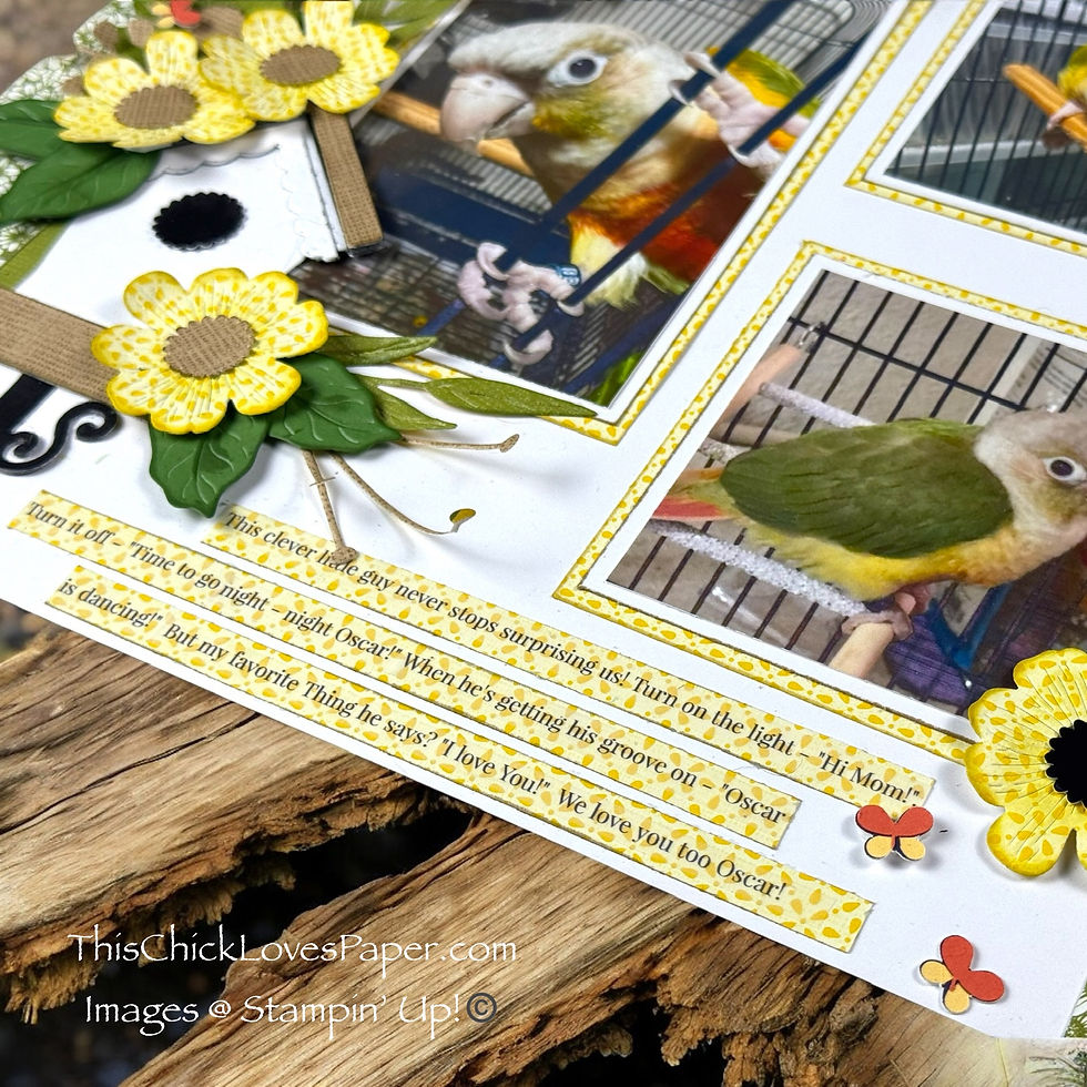 Scrapbook page with photos of a green parrot in a cage. Yellow flowers and butterflies decorate the page. Text reads: "I love you!"