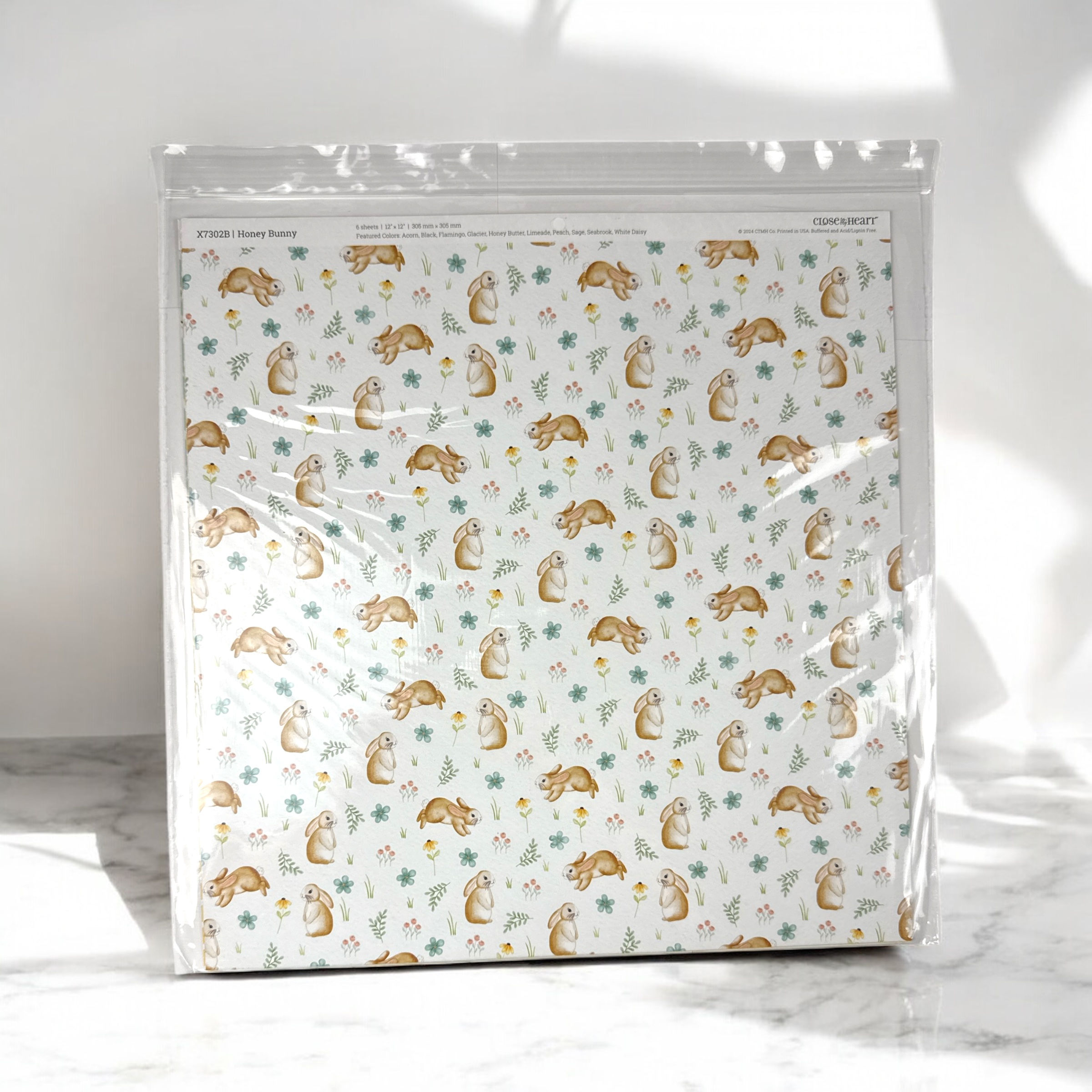 CTMH Honey Bunny Paper Pack – X73028