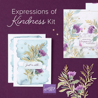 EXPRESSIONS OF KINDNESS KIT (ENGLISH)
