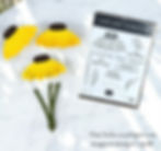 Craft stamps and yellow coneflower cutouts on a white surface; text includes "Coneflower Celebrations" and phrases like "It's Your Day!"