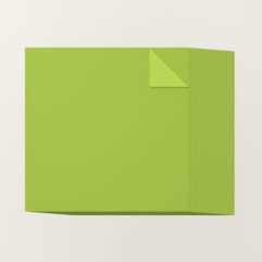 GRANNY APPLE GREEN 12" X 12" (30.5 X 30.5 CM) TWO-TONE CARDSTOCK