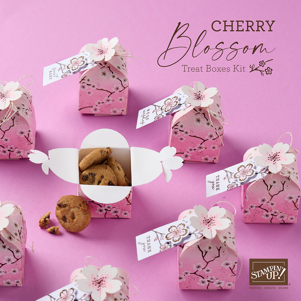 CHERRY BLOSSOM TREAT BOXES KIT
