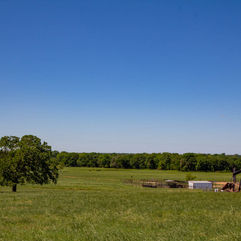 ranch-grass-buildings.jpeg