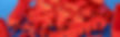 Parallax_Plastics2-1024x325.jpg