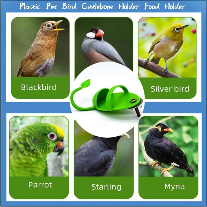 Miniatura: Parrot Bird Food Rack Cuttlefish Bone Holder with Perch Leaf Design Bird Cage Fe