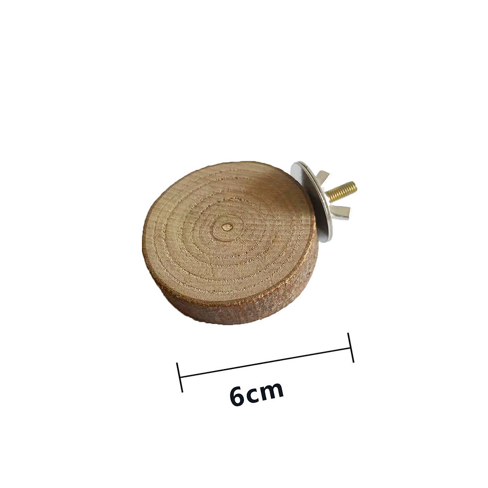 Miniatura: Cute Rabbit Roller Toys Natural Wooden Pine Dumbells Unicycle Bell Chew Toys for