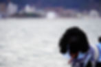 LRG_DSC00714.JPG
