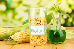 Synthetic Biology and Next-Generation Biofuels