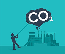 Synthetic Biology & Carbon Capture