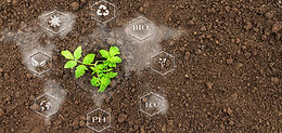 Sustainable Agriculture using Synthetic Biology