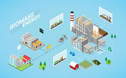 Application of Biomass as Energy Storage