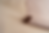 back.png