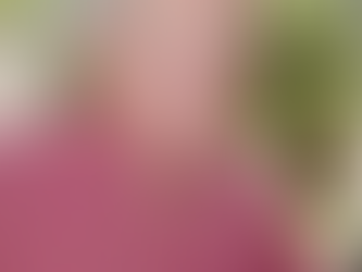 Frank Anthony Domanico