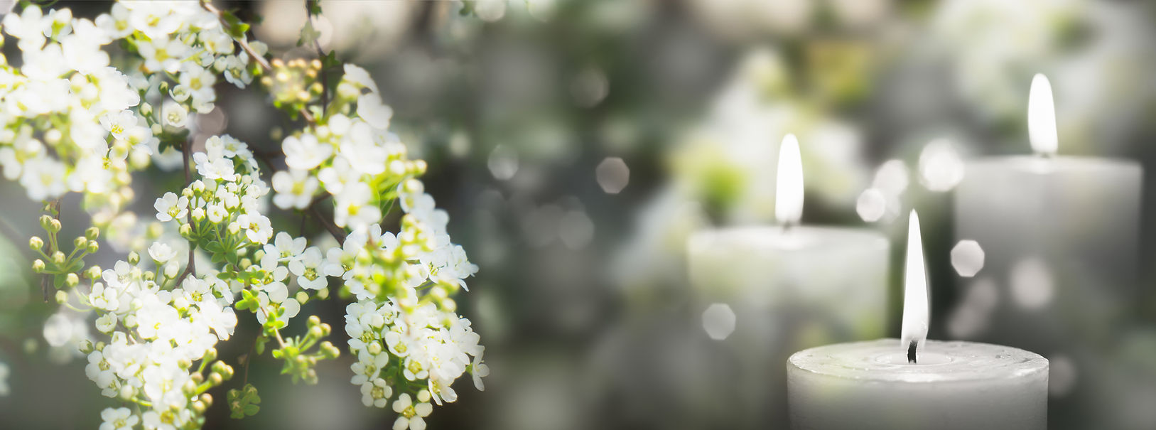 iStock-1377488836.jpg