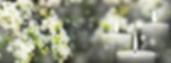 iStock-1377488836.jpg