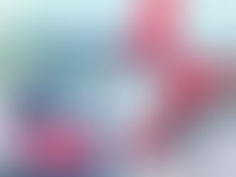 Douglas Leon Sheldahl