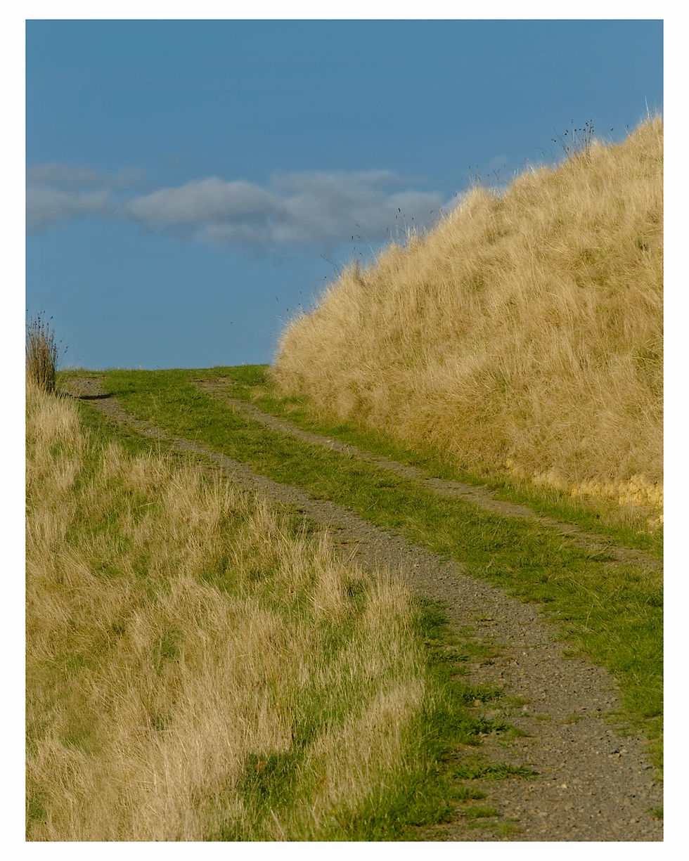 A dirt path winds through golden, sunlit grass under a clear, blue sky, inviting an afternoon stroll in nature's quiet embrace.