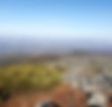 IMG_20181020_133355.jpg