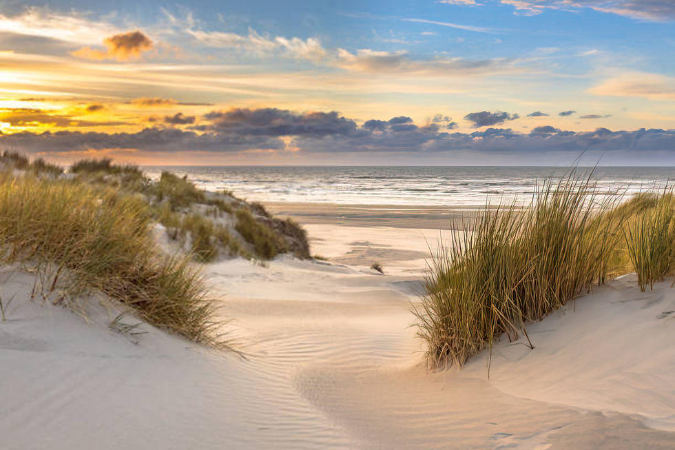 plage.jpg