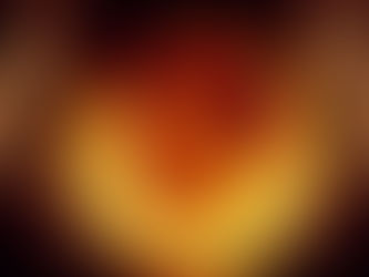 Capítulo 1 - A Fênix no ovo