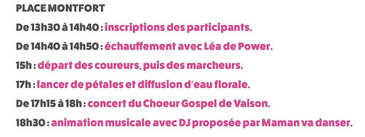 programme octobre Rose.jpg