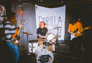 an interview with gorilla party