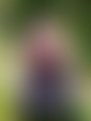 A chat with Trophy Wife