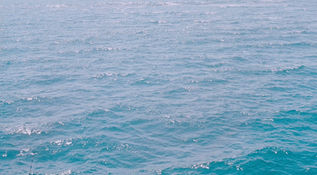 sorrowless loss of life
