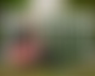 an interview with Sarah from Molly Ringworm