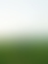 an interview with hongjoin