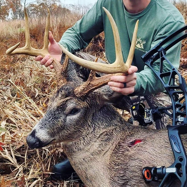 Deer, Longshot Archery