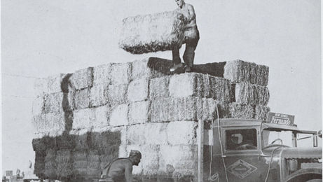 The 2023 Poppy Festival and the Rural Olympics 