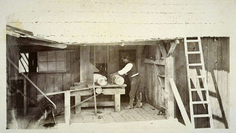 Joshua Tree Paper Milling in the Antelope Valley 