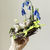 Thumbnail: The bluebell dreamer