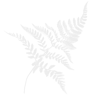 lightgrey_fern.gif