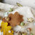 Thumbnail: Autumn garland ... Dawdle snail