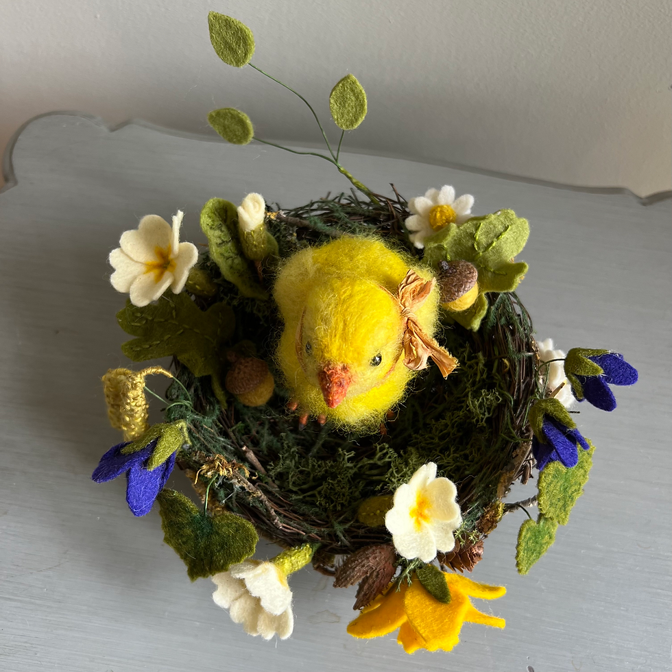Thumbnail: Cyril chick and his Spring nest