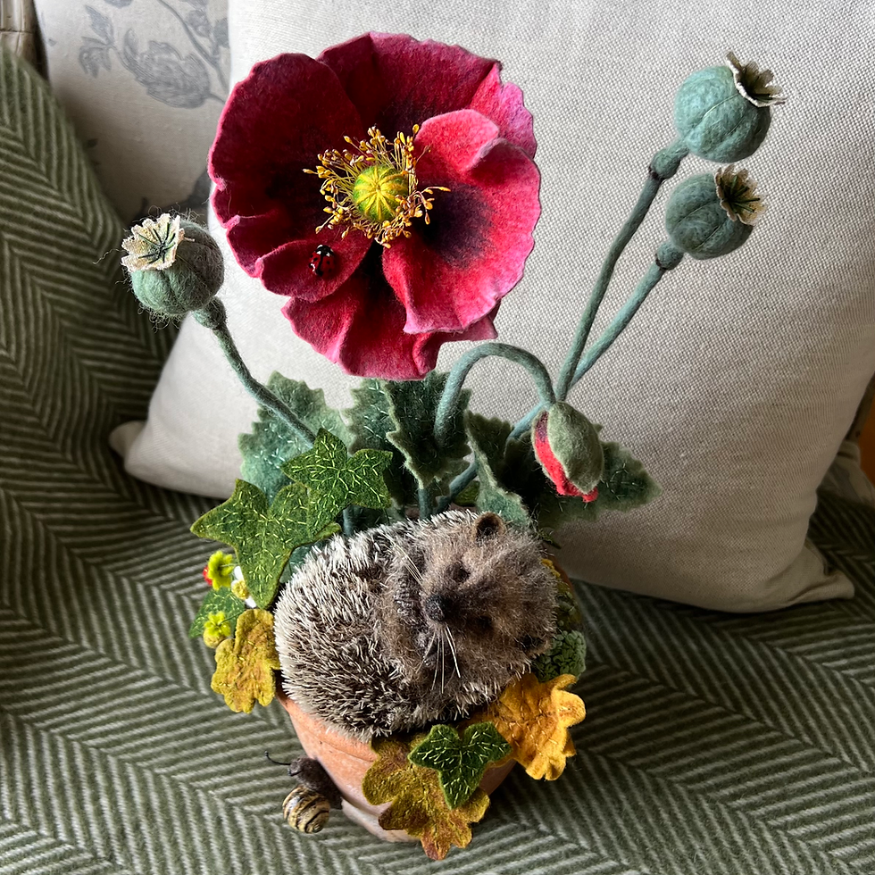 Thumbnail: Snug beneath the poppies