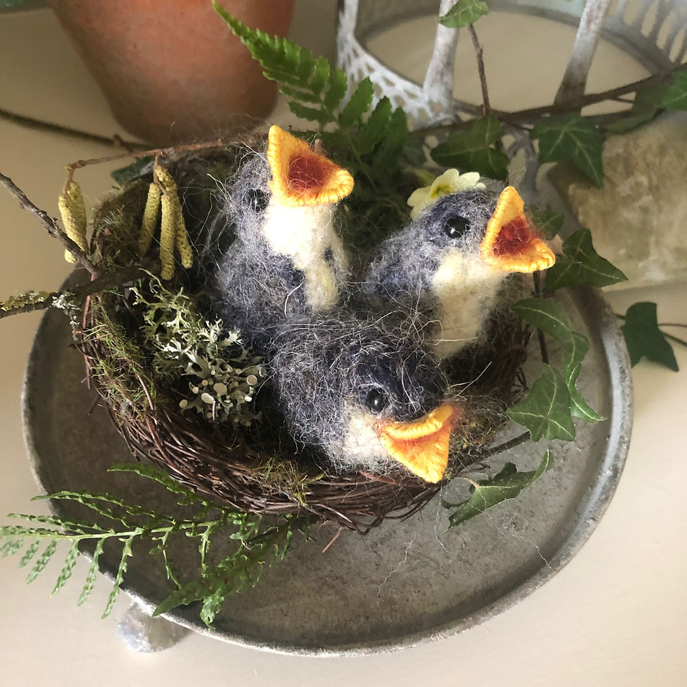 Thumbnail: Sunny and her fledglings