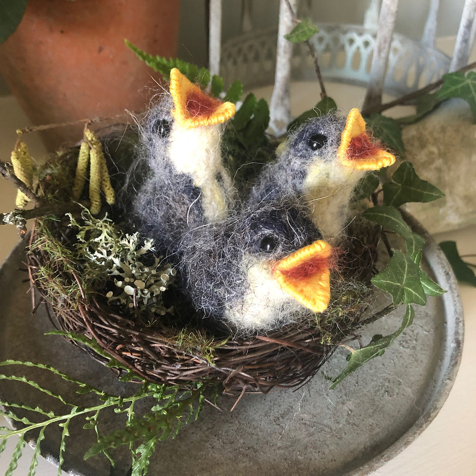 Thumbnail: Sunny and her fledglings
