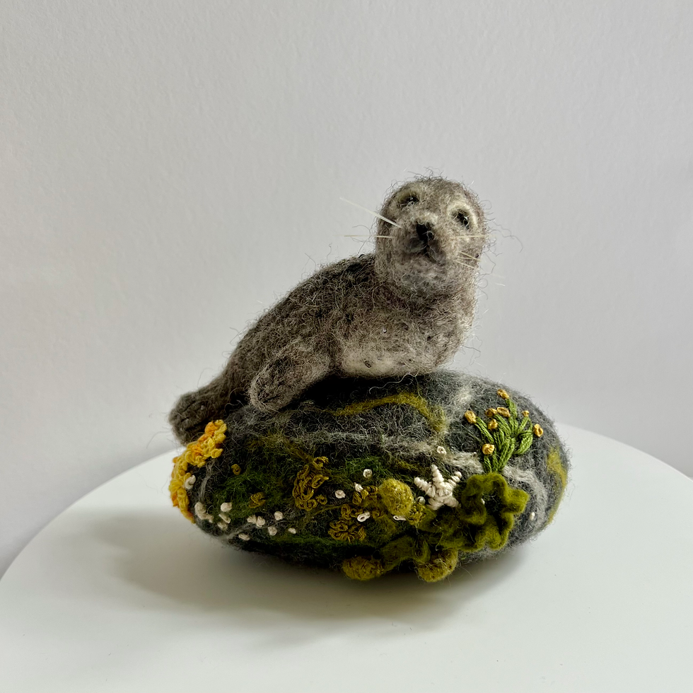 Thumbnail: Moray seal