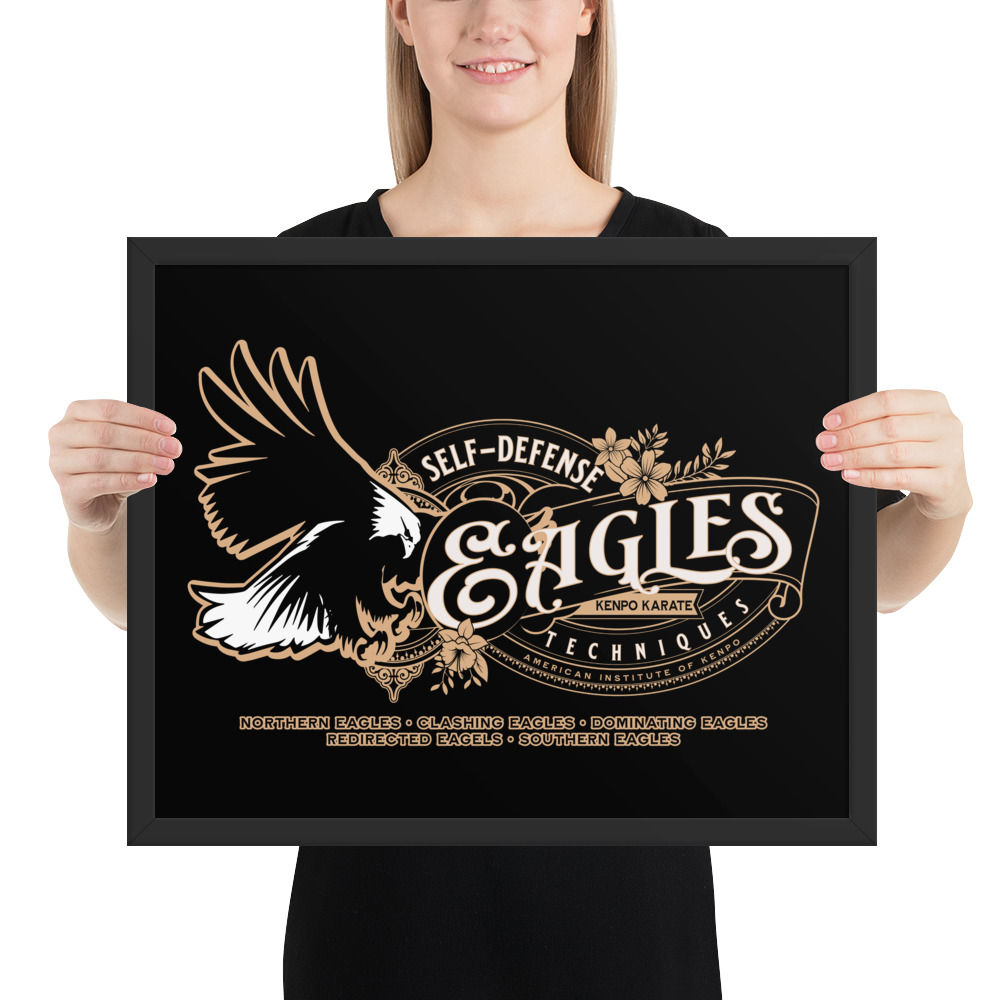 Eagles EPJ: Framed Poster 16"x20" to 18"x24"