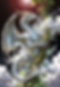 Echoed Palms.png