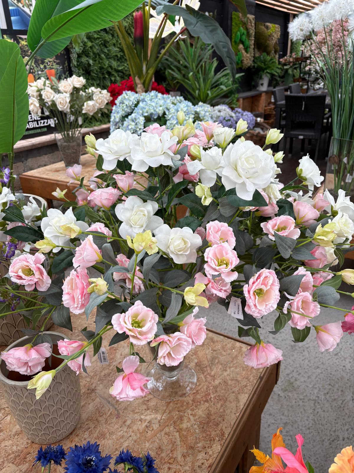 LISIANTHUS