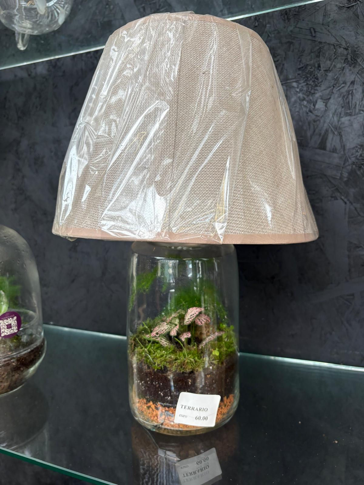 TERRARIO PORTA LAMPADA